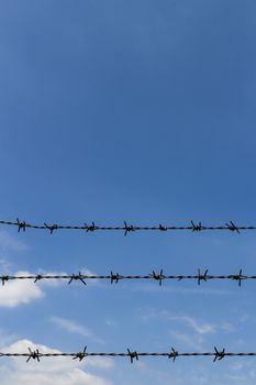 The barbed wire borders a protected area.