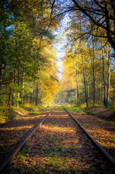 Empty railroad track through the forest in autumn (fall) on a sunny day, vanishing point. Beauty in nature and seasons.