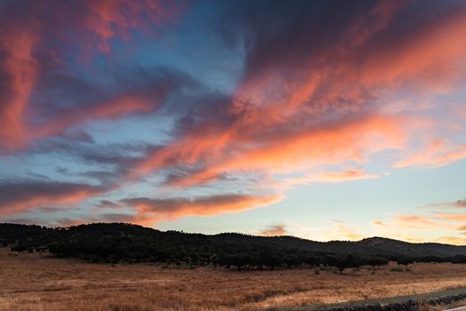 golden clouds in the dehesa of Extremadura.