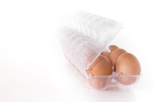 Container for eggs in clear plastic, isolated on a white background.