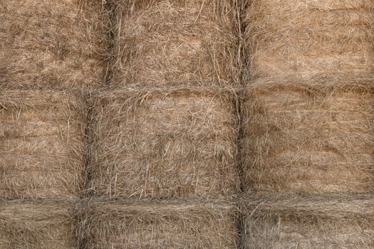 Front view of stacked bales of hay in a barn.
