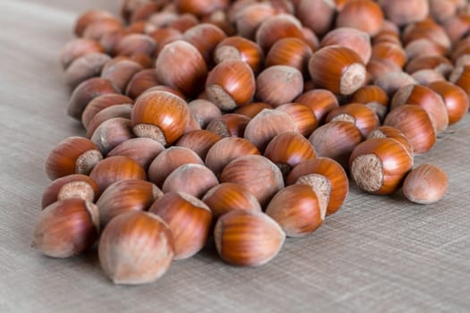 A group of hazelnuts scattered on the table