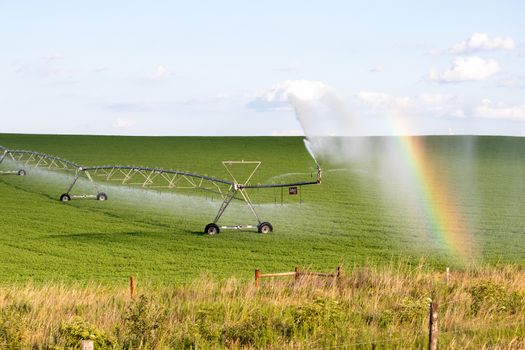 Pivot running in field with beauful rainbow on sunny day . High quality photo