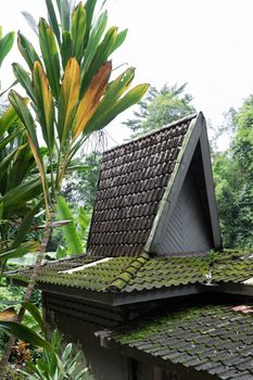 Unusual architecture of small houses with high tiled roofs in the jungle of Asia