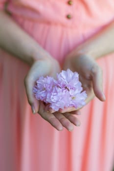 A girl in a pink dress holds a sakura flower in her hands. Gentle hands closeup photo