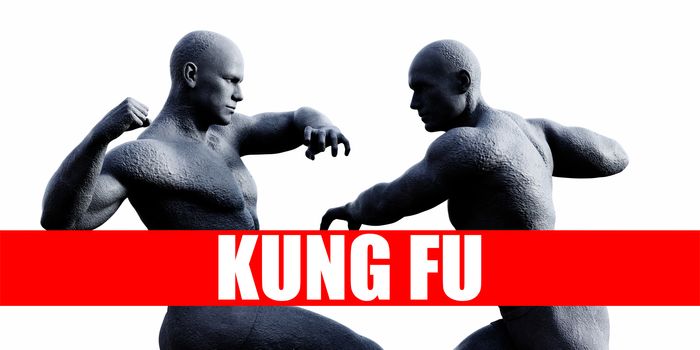 Kung fu Class Combat Fighting Sports Background