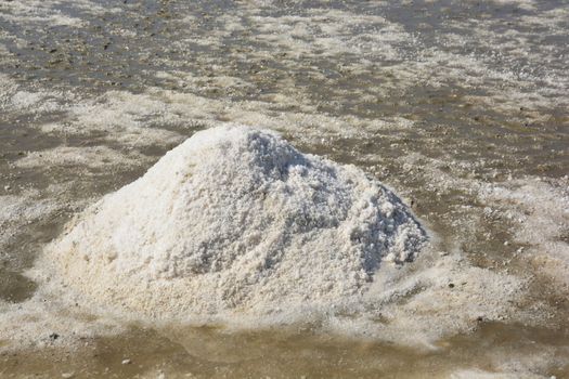 Salt pile in salt farm 