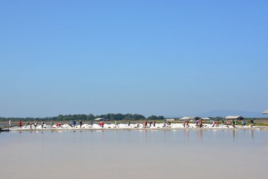 Worker shoveling salt at salt pan at Thailand, The making of sea salt in the field at Phetchaburi Province, Thailand