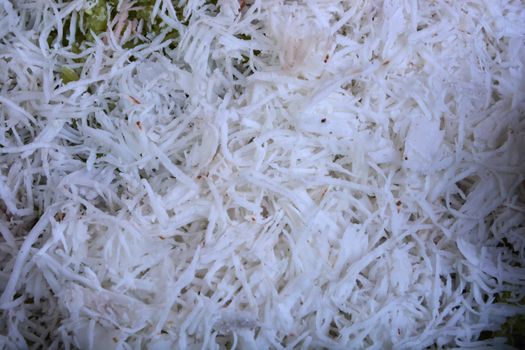 Freshly grated coconut