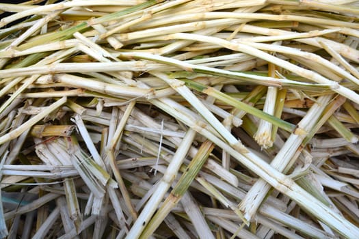 Sugarcane residues