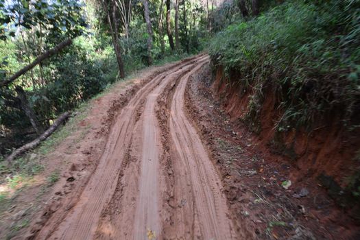 dirty broken rural road with deep tire tracks, take pictures  on the car. note  select focus with shallow depth of field	