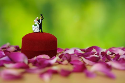 Miniature photography - outdoor garden wedding ceremony concept, bride and groom stand above ring box in the middle of red rose flower pile