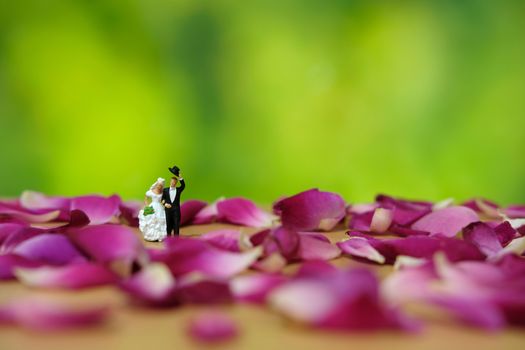 Miniature photography - outdoor wedding / garden wedding ceremony concept, bride and groom walking on red rose flower pile