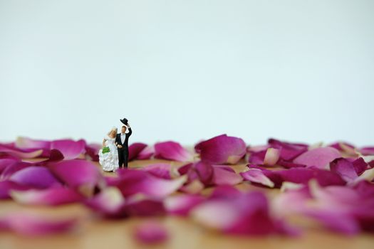 Miniature photography - outdoor wedding / garden wedding ceremony concept, bride and groom walking on red rose flower pile