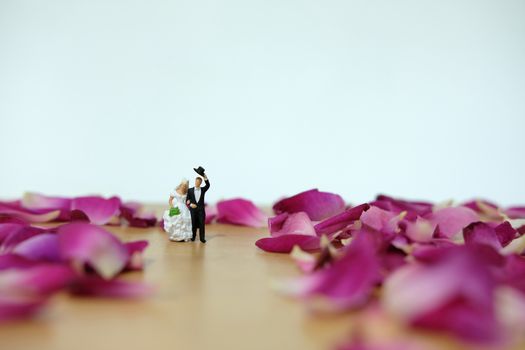 Miniature photography - outdoor garden wedding ceremony concept, bride and groom walking on red rose flower pile