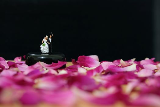 Miniature photography - outdoor garden wedding ceremony concept, bride and groom walking on red rose flower pile