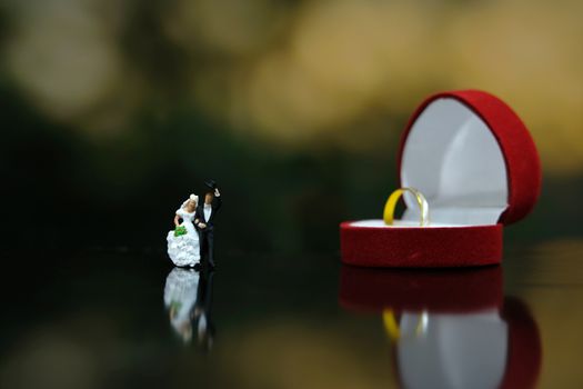 Miniature wedding concept - bride and groom greeting with red heart ring box