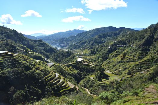 Mountain Valley with Rice Fields on Terraces, irrigated (Ifugao,  Banaue, Philippines).
