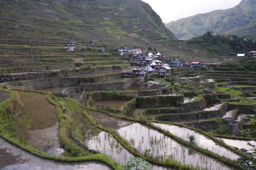 Mountain Valley with Rice Fields on Terraces, irrigated (Ifugao,  Banaue, Philippines).