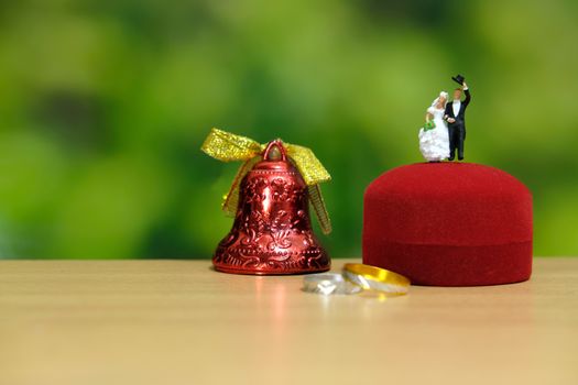 Miniature wedding concept. Bride and groom make greeting from above heart ring box. image photo