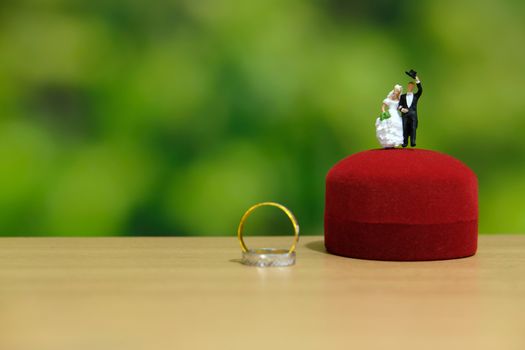 Miniature wedding concept. Bride and groom make greeting from above heart ring box. image photo