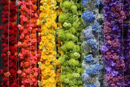 Colorful Flowers of the backdrop