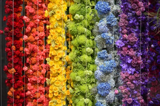 Colorful Flowers of the backdrop