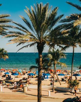 A Tall Palm Tree on a Busy Tropical Beach With the Ocean and the Sky in the Background