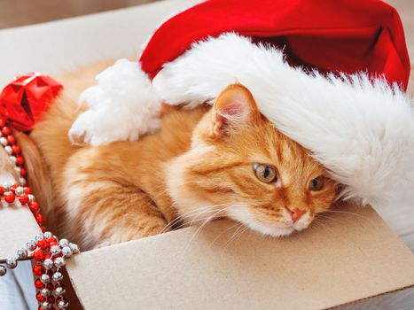 Cute ginger cat lies in box with Christmas and New Year decorations on wooden background. Fluffy pet with red Santa Claus hat. Fuzzy domestic animal during winter holiday preparation.