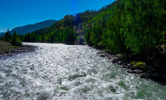 Rough river Chuya in the Altai Republic