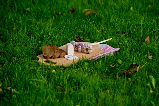 Garlic, lard and bread on a grass background.