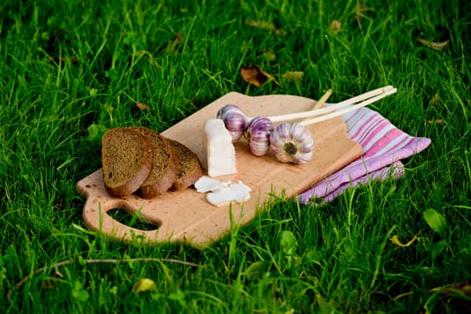 Garlic, lard and bread on a grass background.
