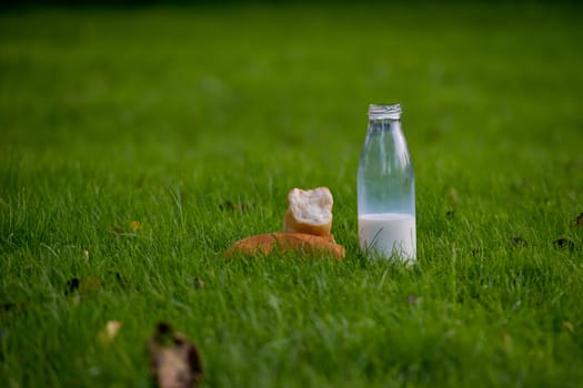 Glass bottle with milk and fresh baguette on young grass. Close-up.