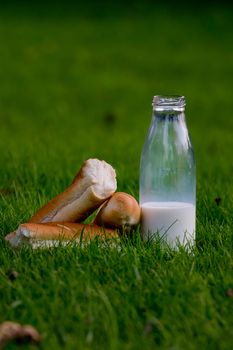 Glass bottle with milk and fresh baguette on young grass. Close-up.