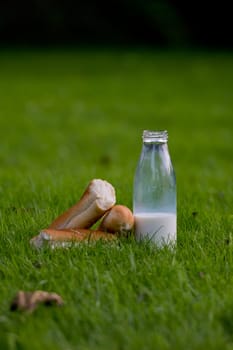 Glass bottle with milk and fresh baguette on young grass. Close-up.