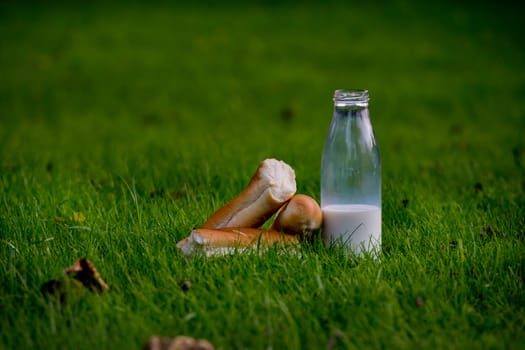 Glass bottle with milk and fresh baguette on young grass. Close-up.