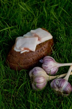 Garlic, lard and bread on a grass background.