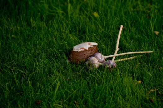 Garlic, lard and bread on a grass background.