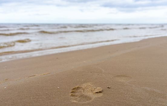 Trail of bare feet on the wet sand of a beach