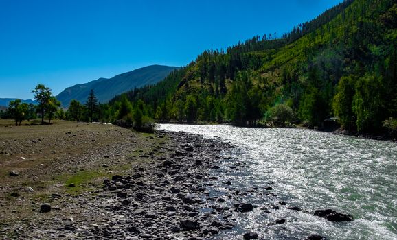 Rough river Chuya in the Altai Republic
