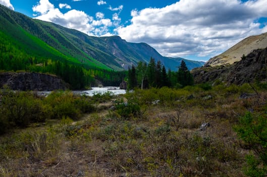 Mountain river in the Altai Republic.