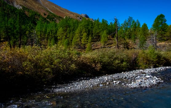 Mountain river in the Altai Republic.