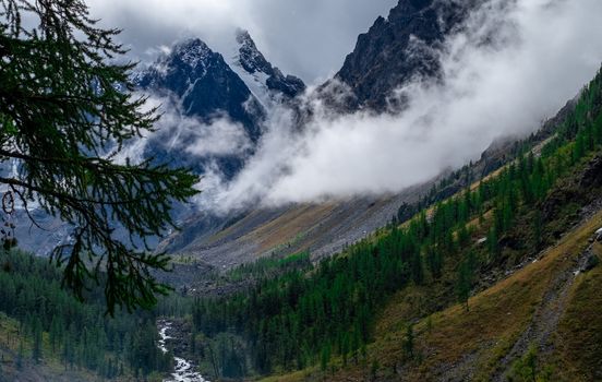 Mountain stream on the background of mountain peaks shrouded in fog.