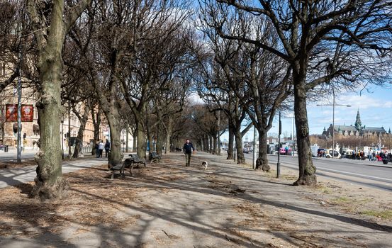 April 22, 2018, Stockholm, Sweden. A man with a dog on a leash on some of the streets in Stockholm.