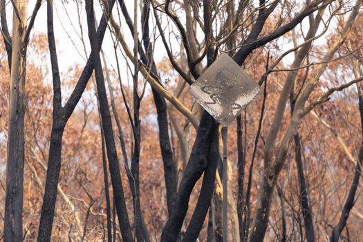 A burnt sign on a road surrounded by burnt gum trees due to bushfire in The Blue Mountains in regional Australia