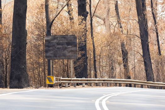 A burnt sign on a road surrounded by burnt gum trees due to bushfire in The Blue Mountains in regional Australia