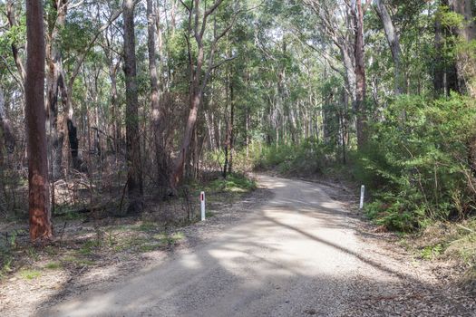 A dirt track in the Wollemi National Park in regional New South Wales in Australia