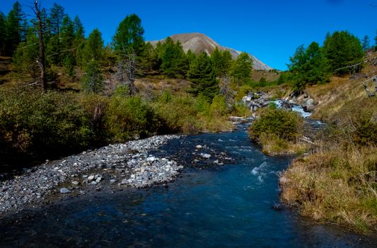 Mountain river in the Altai Republic.