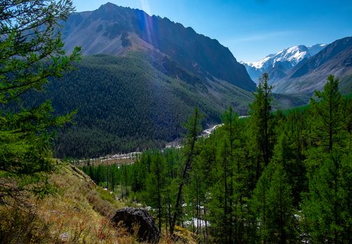 Mountain river flows through the forest in the Altai Republic.