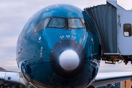 October 29, 2019, Moscow, Russia. Plane 
Airbus A350-900 Vietnam Airlines at Sheremetyevo airport in Moscow.